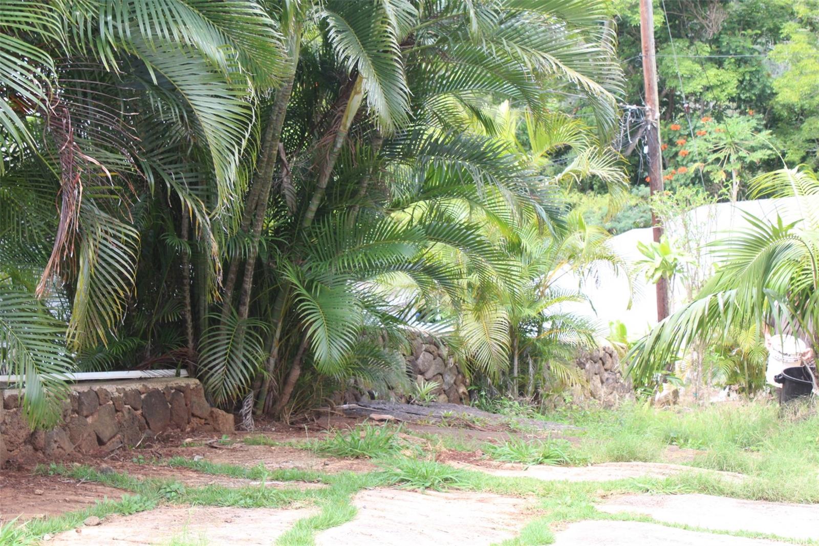 99-460 Fernridge Place C Aiea, Hi vacant land for sale - photo 10 of 12