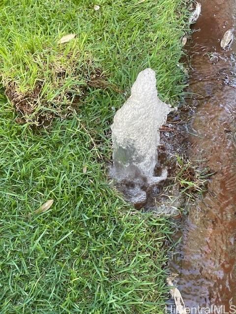 99-766 Holoai St AIEA - Rental - photo 3 of 21