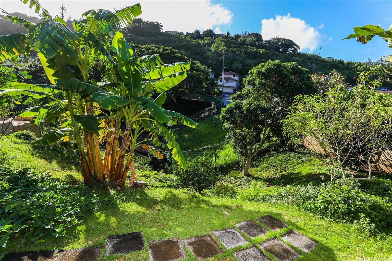 99-827  Holoai Street Aiea Heights, PearlCity home - photo 20 of 23