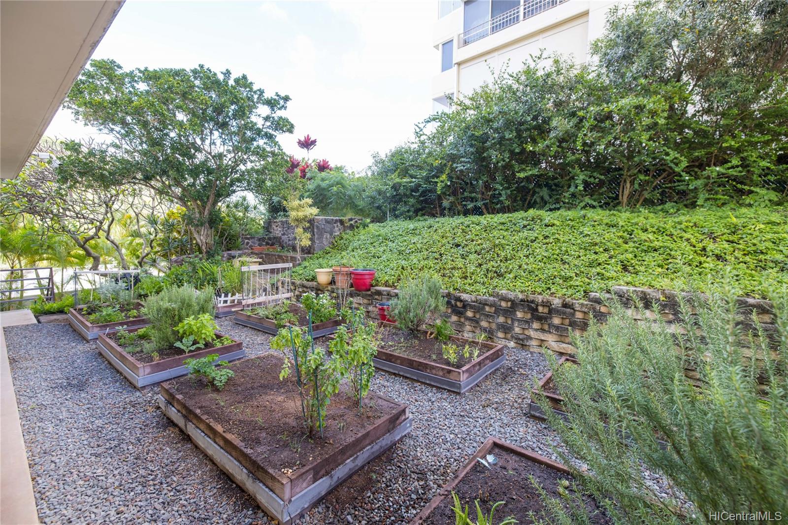 999 Wilder 504, 999 Wilder Ave, Honolulu Punchbowl Area condo