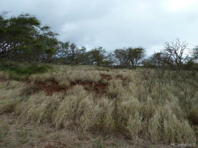 0 Ahiu Rd  Maunaloa, Hi vacant land for sale - photo 5 of 7