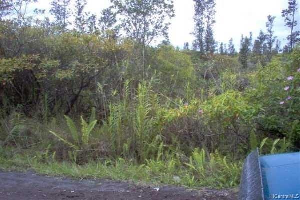 0 Ao Road  Mountain View, Hi vacant land for sale - photo 5 of 6