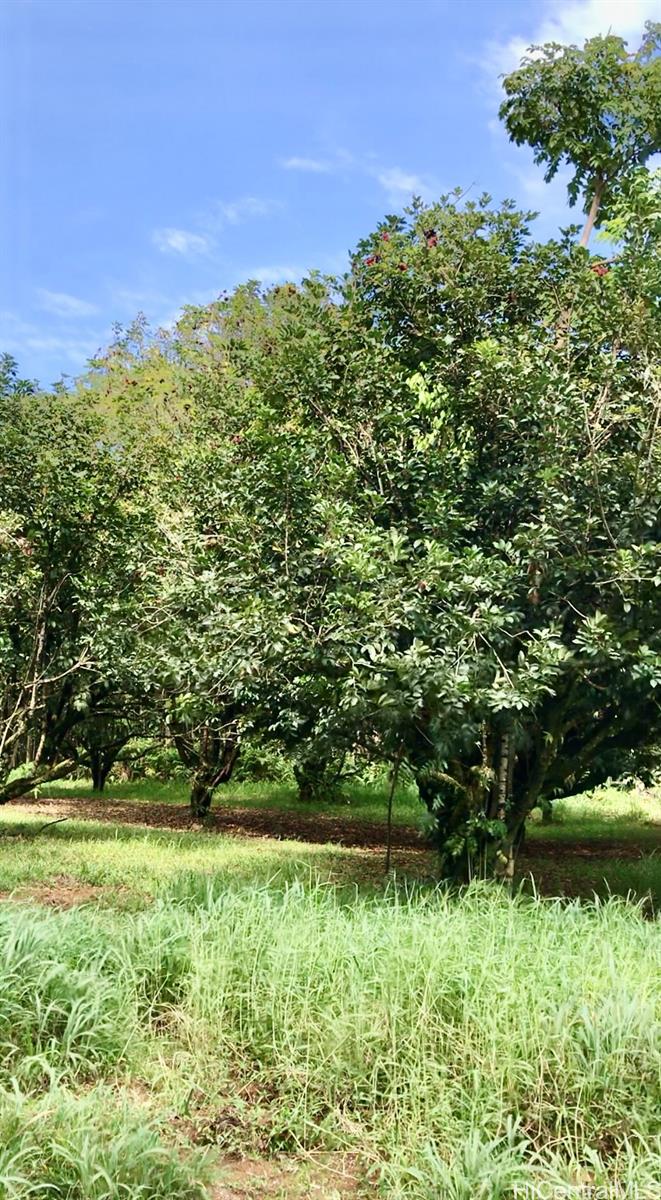 B Alakahi Pl  Papaikou, Hi vacant land for sale - photo 2 of 3