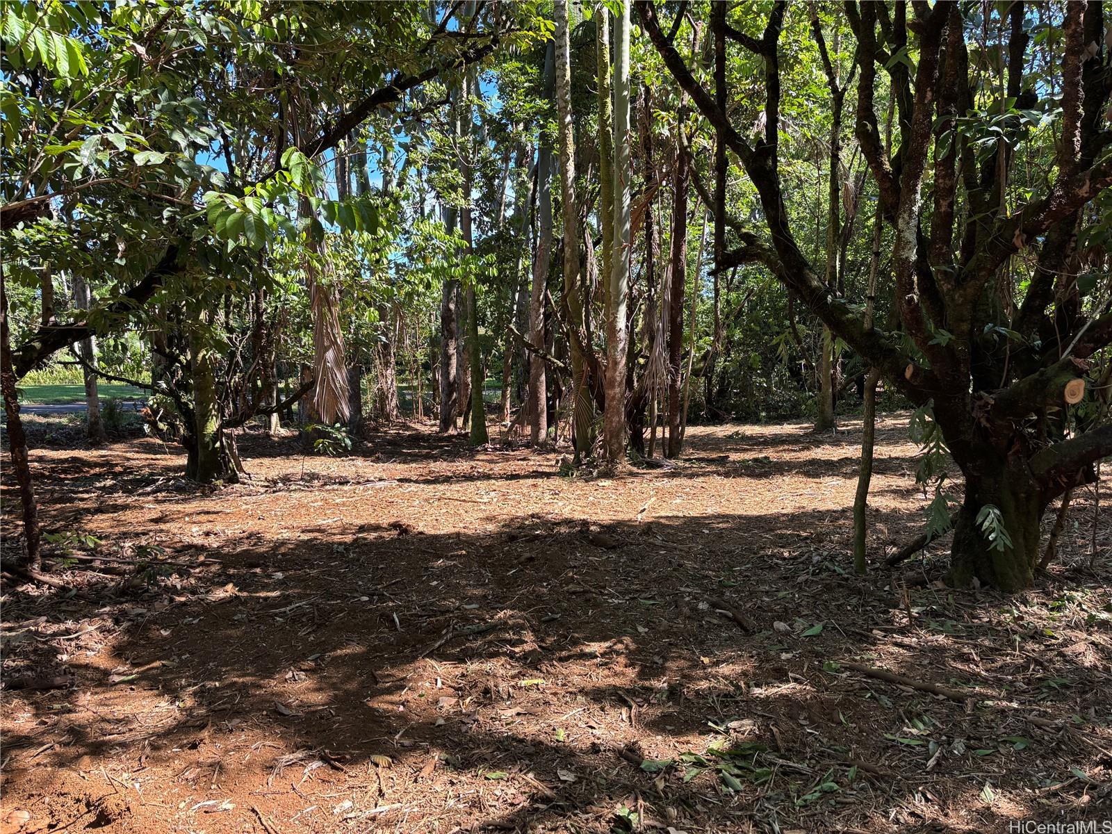 B Alakahi Place  Papaikou, Hi vacant land for sale - photo 2 of 12