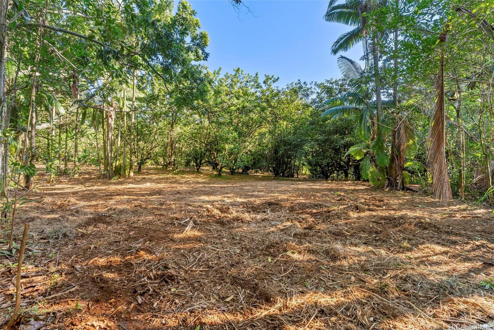 B Alakahi Place  Papaikou, Hi vacant land for sale - photo 12 of 12