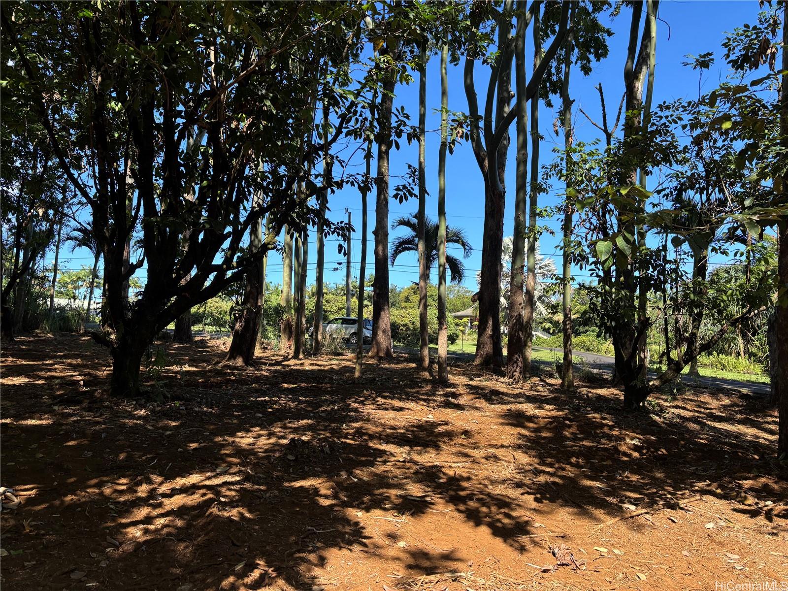 B Alakahi Place  Papaikou, Hi vacant land for sale - photo 3 of 12