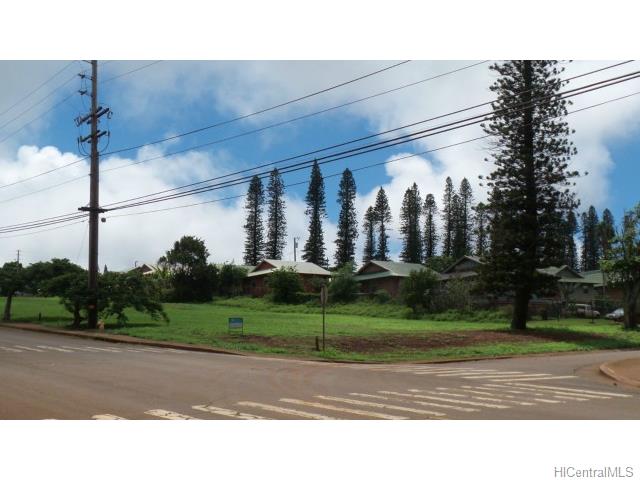 E-08 Mauna Loa Hwy  Maunaloa, Hi vacant land for sale - photo 2 of 3