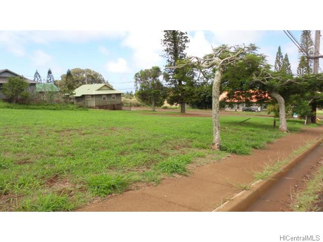 E-08 Mauna Loa Hwy  Maunaloa, Hi vacant land for sale - photo 3 of 3