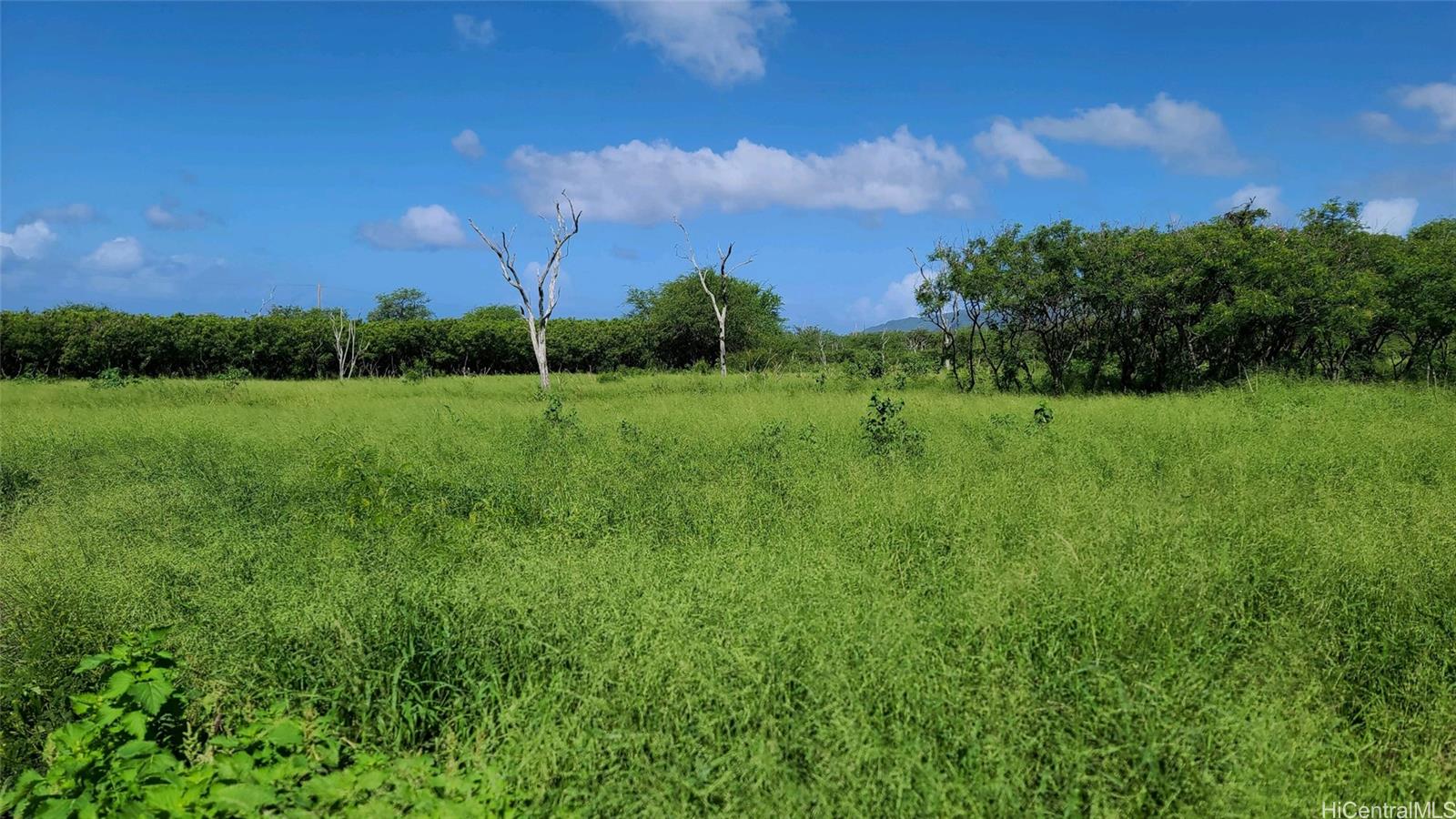 0 Farrington Hwy  Waianae, Hi vacant land for sale - photo 11 of 20