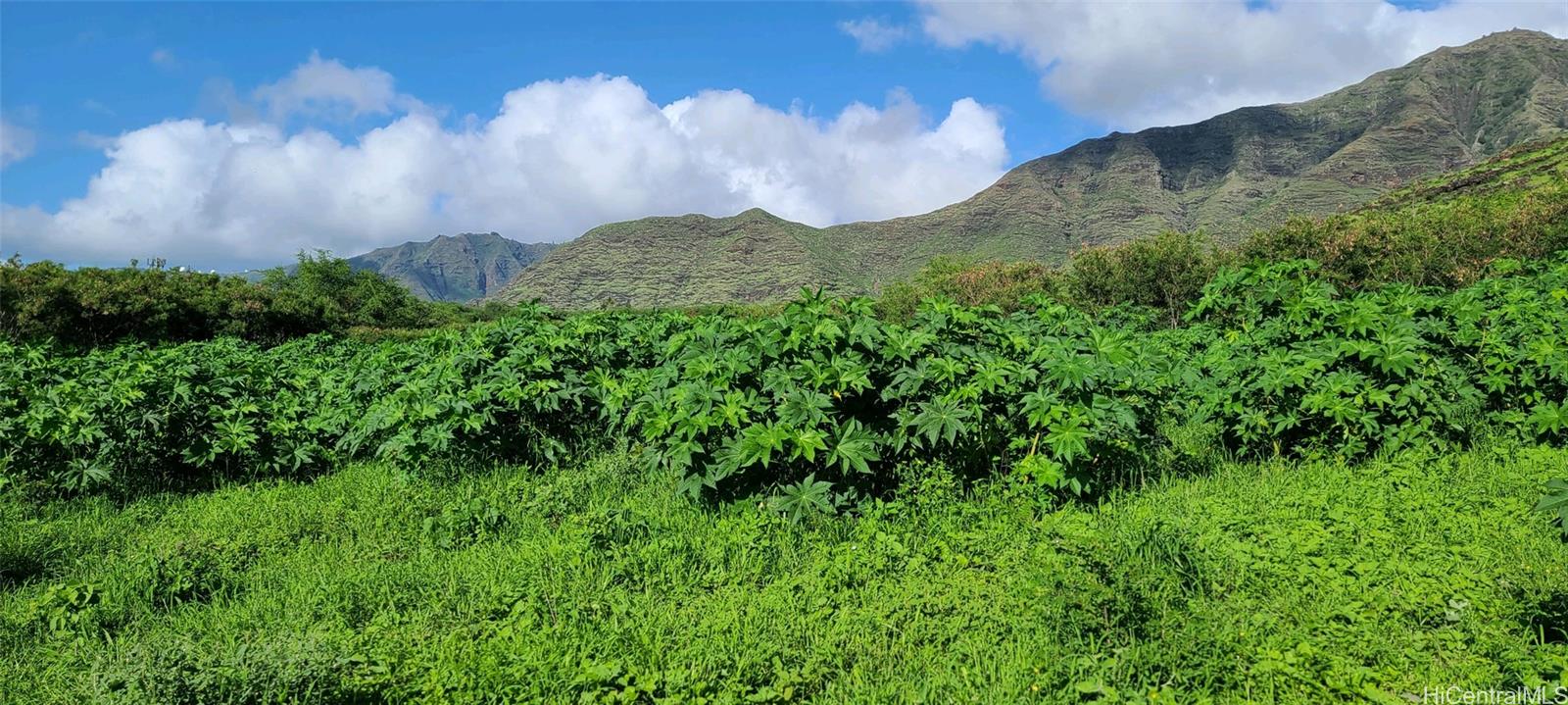 0 Farrington Hwy  Waianae, Hi vacant land for sale - photo 13 of 20