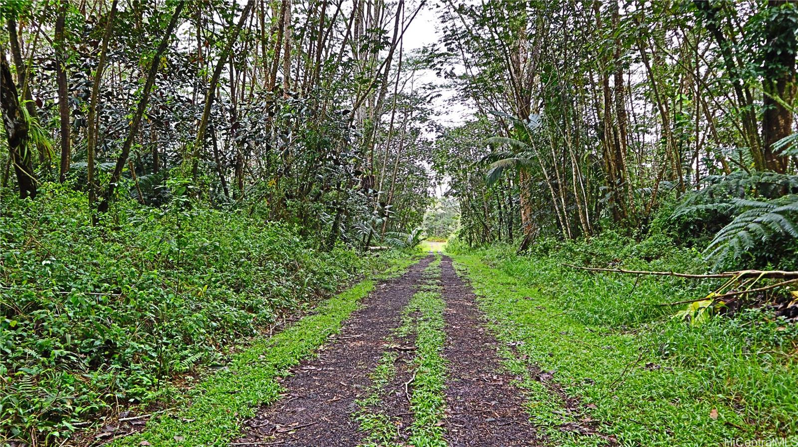 0 Ginger Road  Pahoa, Hi vacant land for sale - photo 2 of 5