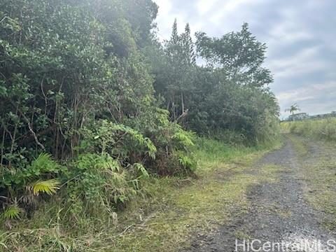 0 Huina Rd  Mountain View, Hi vacant land for sale - photo 2 of 5
