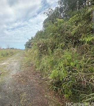 0 Huina Rd  Mountain View, Hi vacant land for sale - photo 3 of 5