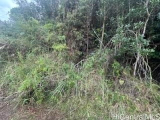 0 Huina Rd  Mountain View, Hi vacant land for sale - photo 4 of 5
