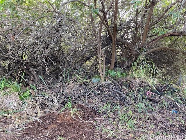 0 Kuamoo Street  Naalehu, Hi vacant land for sale - photo 2 of 5
