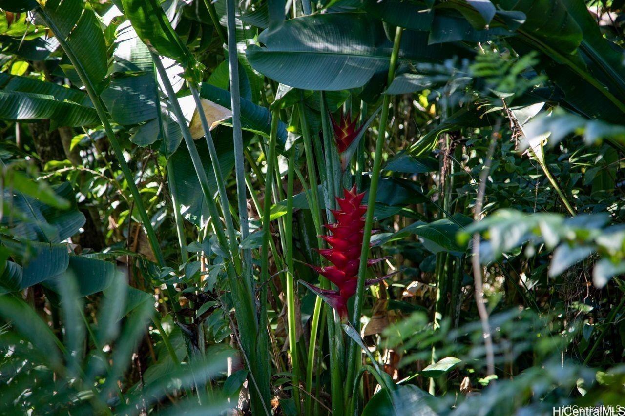 0 Lopaka Way 1 Kailua, Hi vacant land for sale - photo 15 of 23