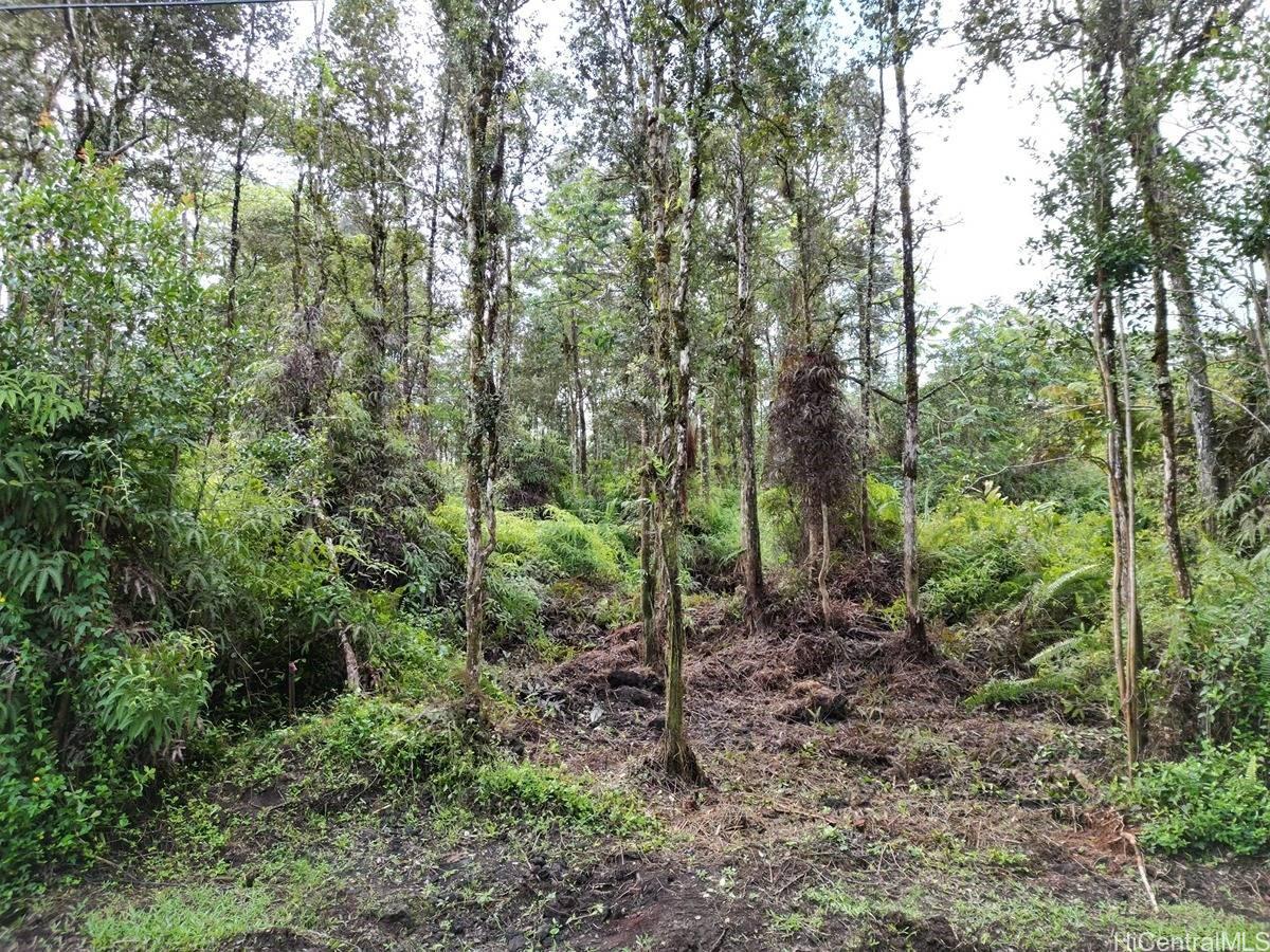 Lot 1022 Oahu Rd  Pahoa, Hi vacant land for sale - photo 12 of 15