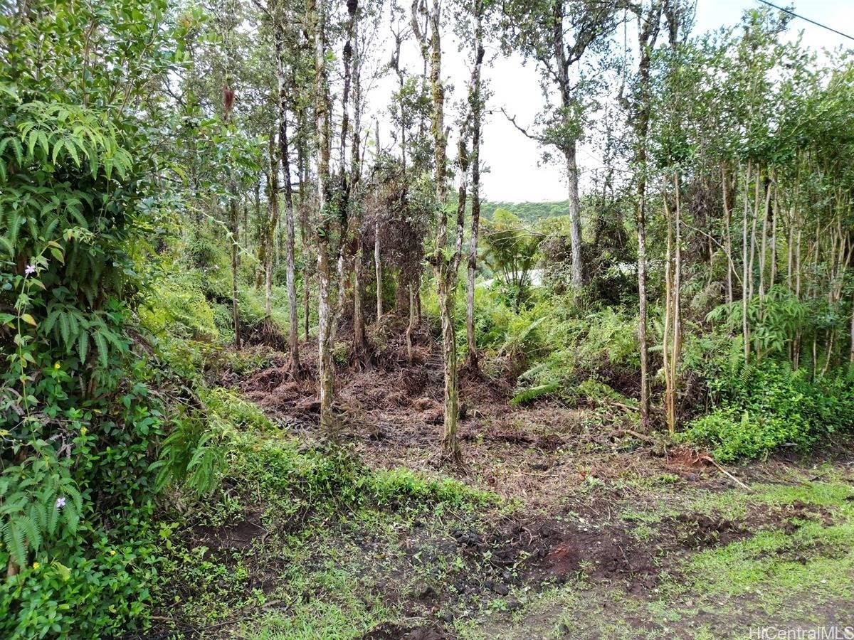 Lot 1022 Oahu Rd  Pahoa, Hi vacant land for sale - photo 6 of 15