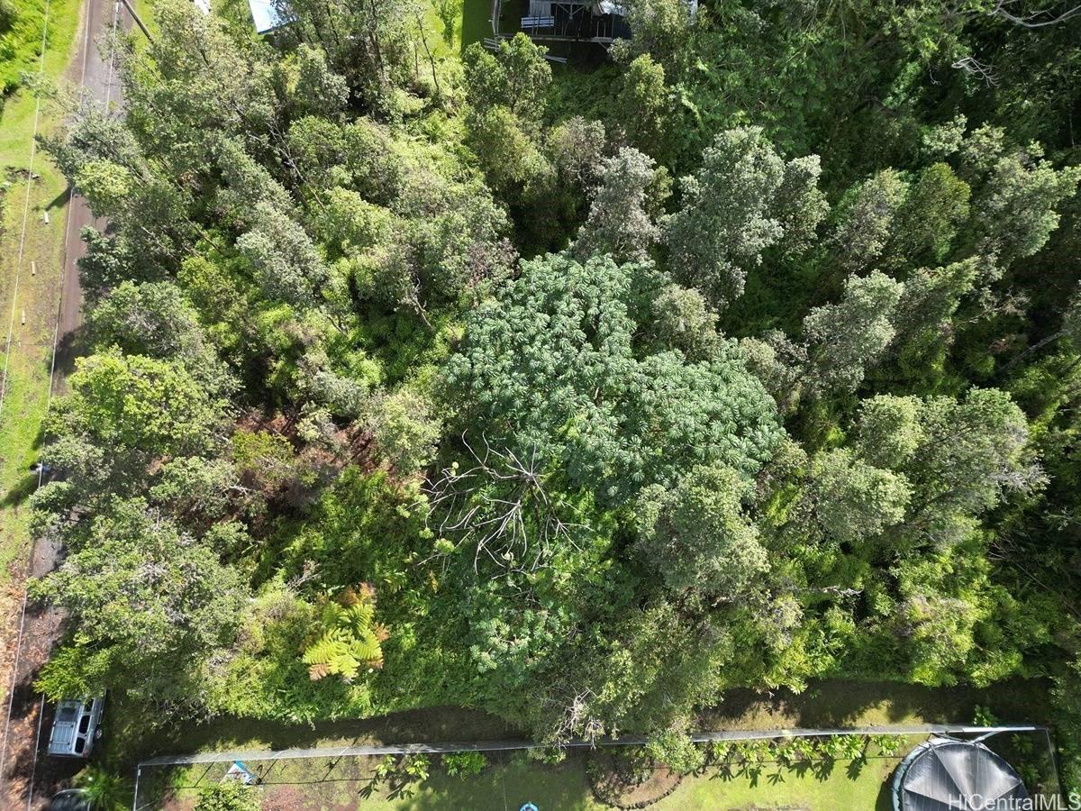Lot 1022 Oahu Road  Pahoa, Hi vacant land for sale - photo 11 of 15