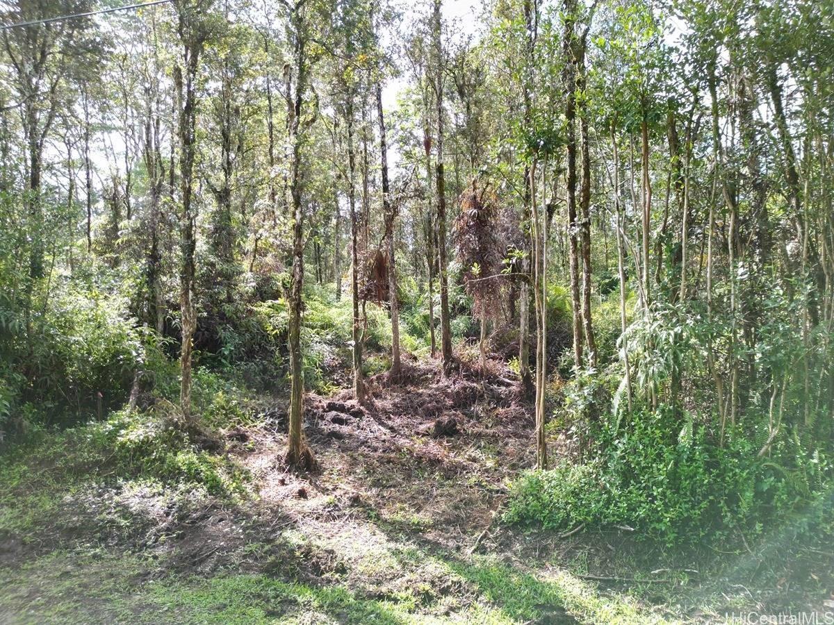 Lot 1022 Oahu Road  Pahoa, Hi vacant land for sale - photo 15 of 15