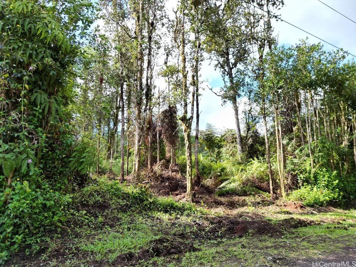 Lot 1022 Oahu Road  Pahoa, Hi vacant land for sale - photo 8 of 15