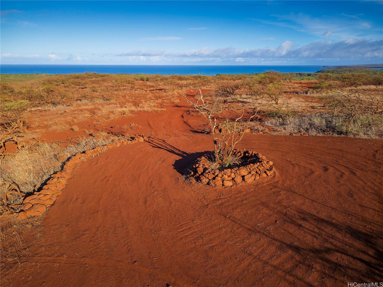 Lot 125 Ahiu Road  Maunaloa, Hi vacant land for sale - photo 6 of 8