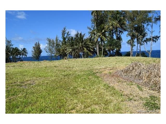 Lot 25 Beach Road  Pepeekeo, Hi vacant land for sale - photo 12 of 13