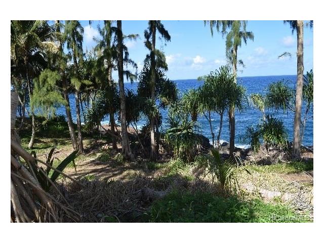 Lot 25 Beach Road  Pepeekeo, Hi vacant land for sale - photo 13 of 13