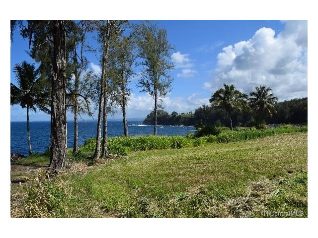 Lot 25 Beach Road  Pepeekeo, Hi vacant land for sale - photo 3 of 13