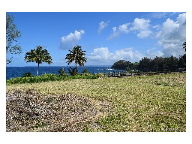 Lot 25 Beach Road  Pepeekeo, Hi vacant land for sale - photo 6 of 13