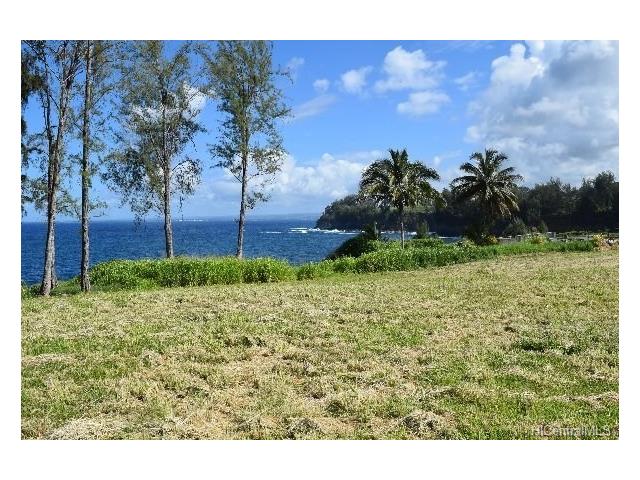 Lot 25 Beach Road  Pepeekeo, Hi vacant land for sale - photo 9 of 13