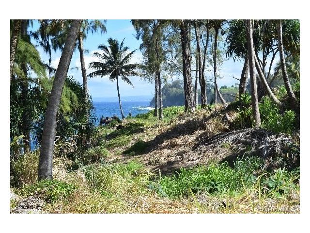 Lot 25 Beach Road  Pepeekeo, Hi vacant land for sale - photo 10 of 13