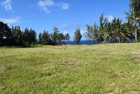 Lot 26 Beach Road  Pepeekeo, Hi vacant land for sale - photo 11 of 13