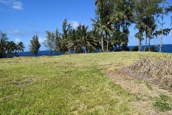 Lot 26 Beach Road  Pepeekeo, Hi vacant land for sale - photo 12 of 13