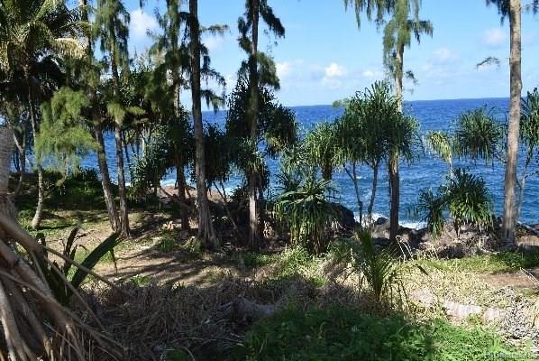 Lot 26 Beach Road  Pepeekeo, Hi vacant land for sale - photo 13 of 13