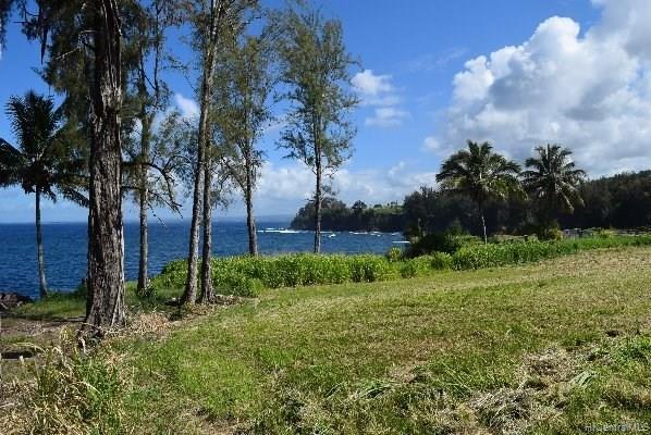 Lot 26 Beach Road  Pepeekeo, Hi vacant land for sale - photo 3 of 13