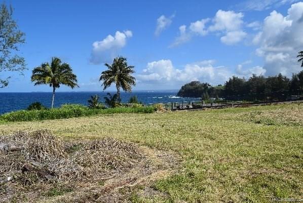 Lot 26 Beach Road  Pepeekeo, Hi vacant land for sale - photo 6 of 13