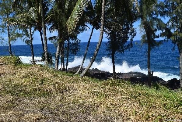 Lot 26 Beach Road  Pepeekeo, Hi vacant land for sale - photo 8 of 13