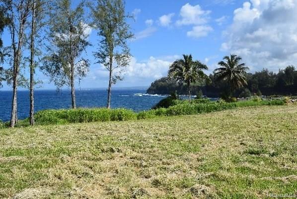Lot 26 Beach Road  Pepeekeo, Hi vacant land for sale - photo 9 of 13