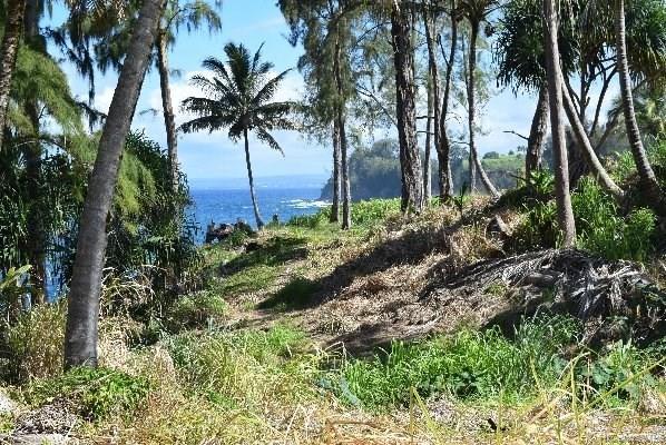 Lot 26 Beach Road  Pepeekeo, Hi vacant land for sale - photo 10 of 13
