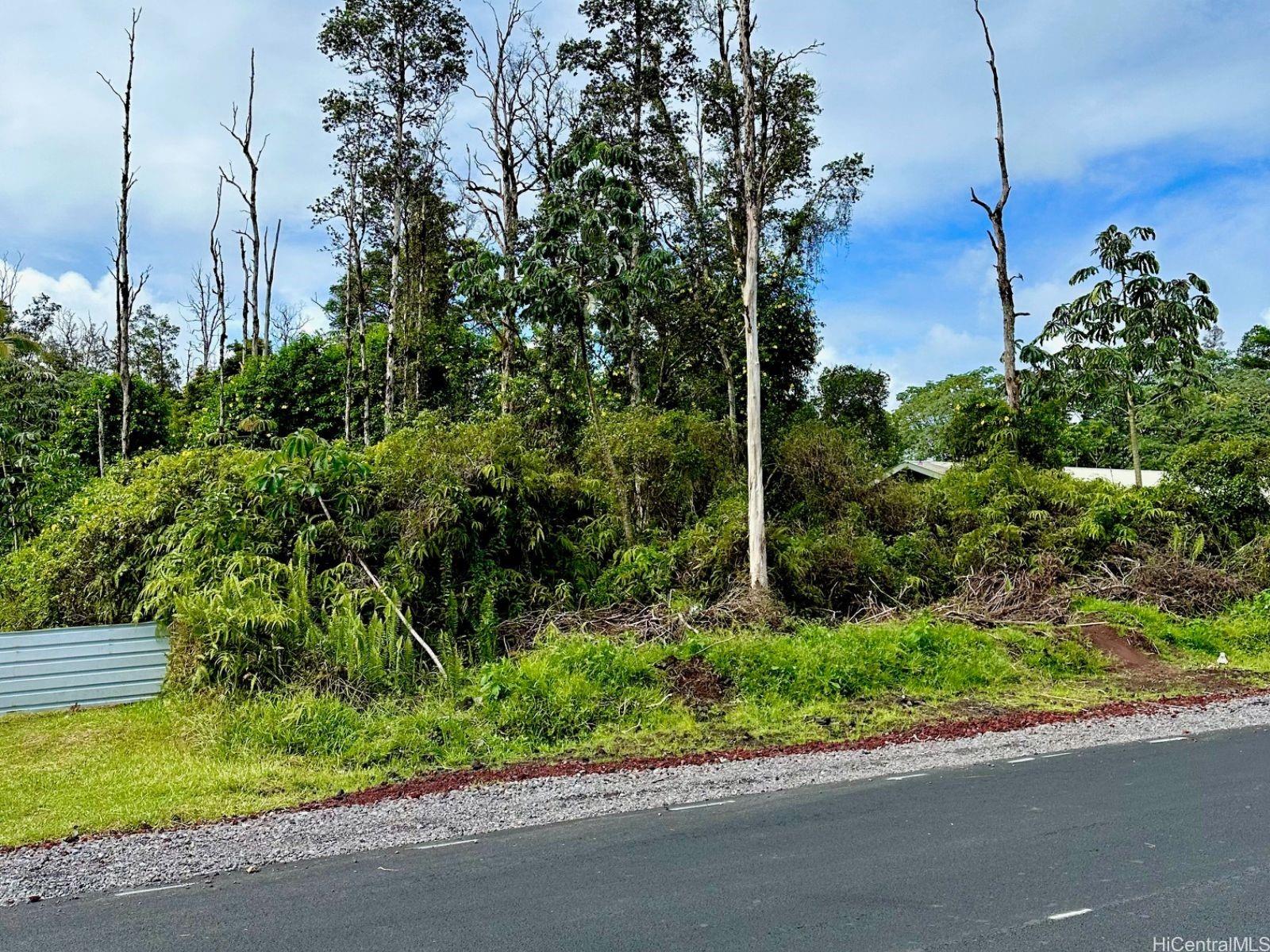 Lot 40 Kuhio Drive  Pahoa, Hi vacant land for sale - photo 3 of 5