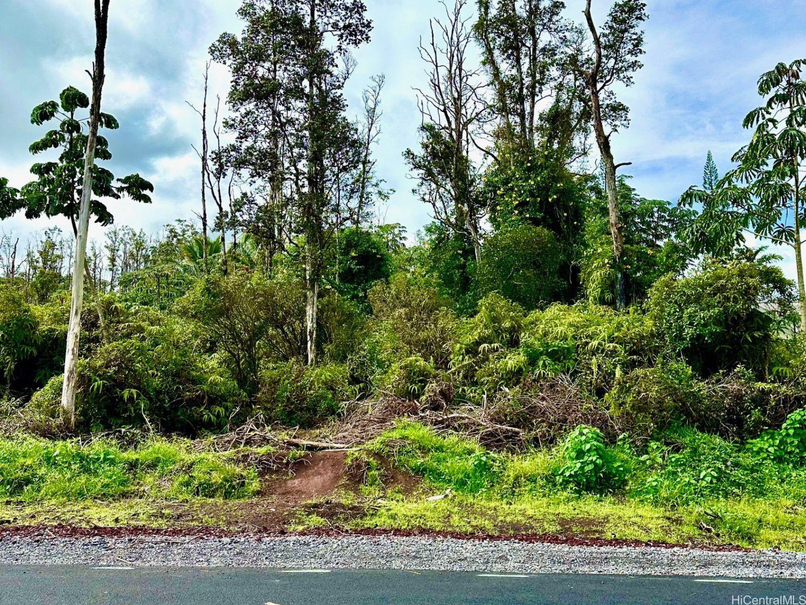 Lot 40 Kuhio Drive  Pahoa, Hi vacant land for sale - photo 5 of 5