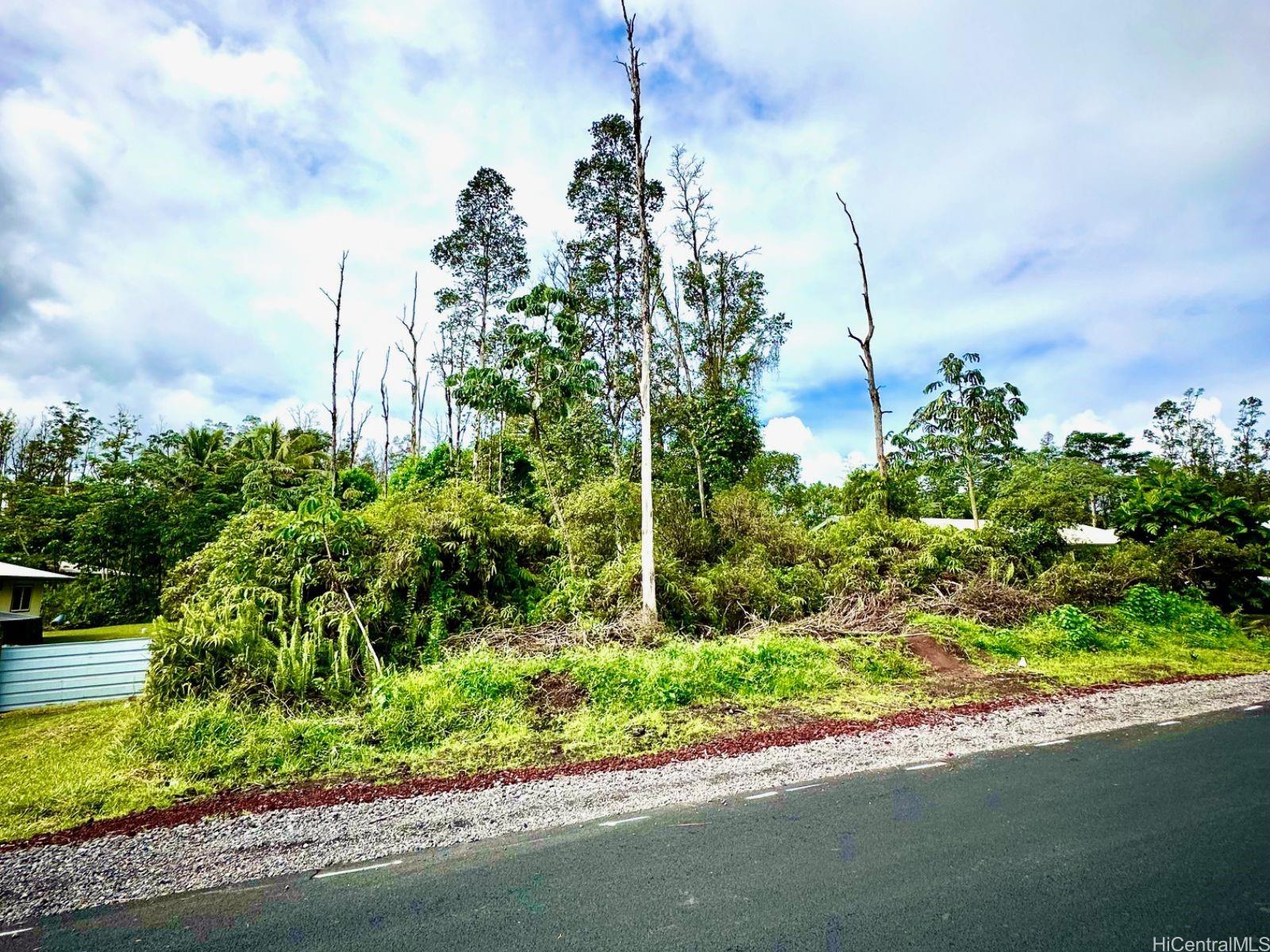 Lot 40 Kuhio Drive  Pahoa, Hi vacant land for sale - photo 2 of 6