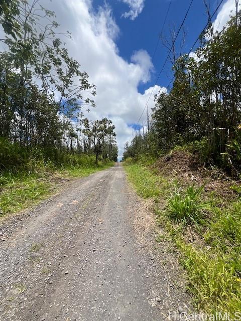 Lot 65 39th Ave  Pahoa, Hi vacant land for sale - photo 4 of 5