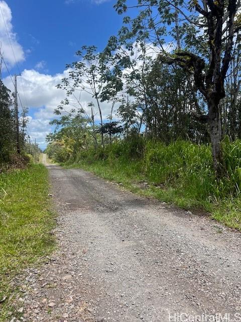 Lot 65 39th Ave  Pahoa, Hi vacant land for sale - photo 5 of 5