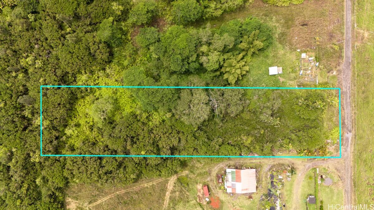 Lot 89 Huina Rd  Mountain View, Hi vacant land for sale - photo 2 of 17