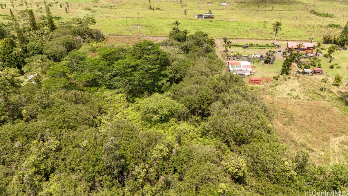 Lot 89 Huina Rd  Mountain View, Hi vacant land for sale - photo 12 of 17