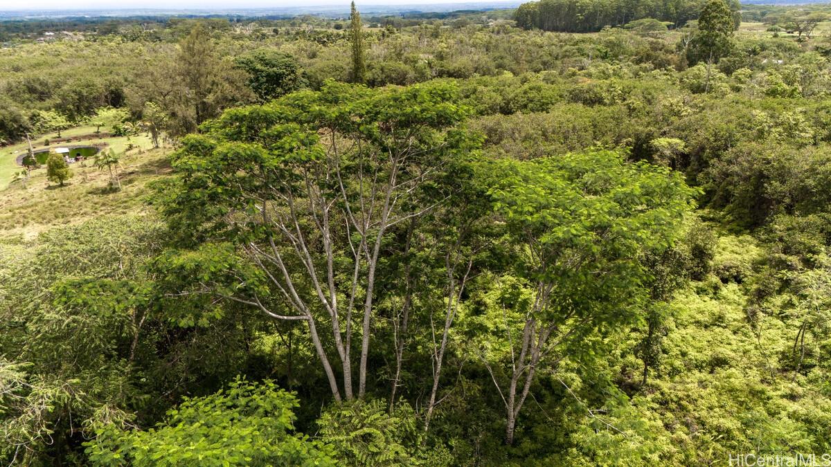 Lot 89 Huina Rd  Mountain View, Hi vacant land for sale - photo 14 of 17