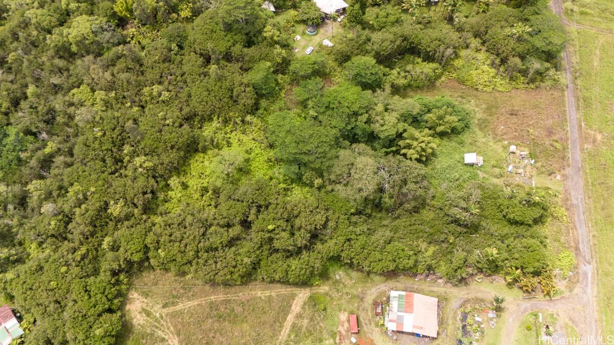 Lot 89 Huina Rd  Mountain View, Hi vacant land for sale - photo 4 of 17