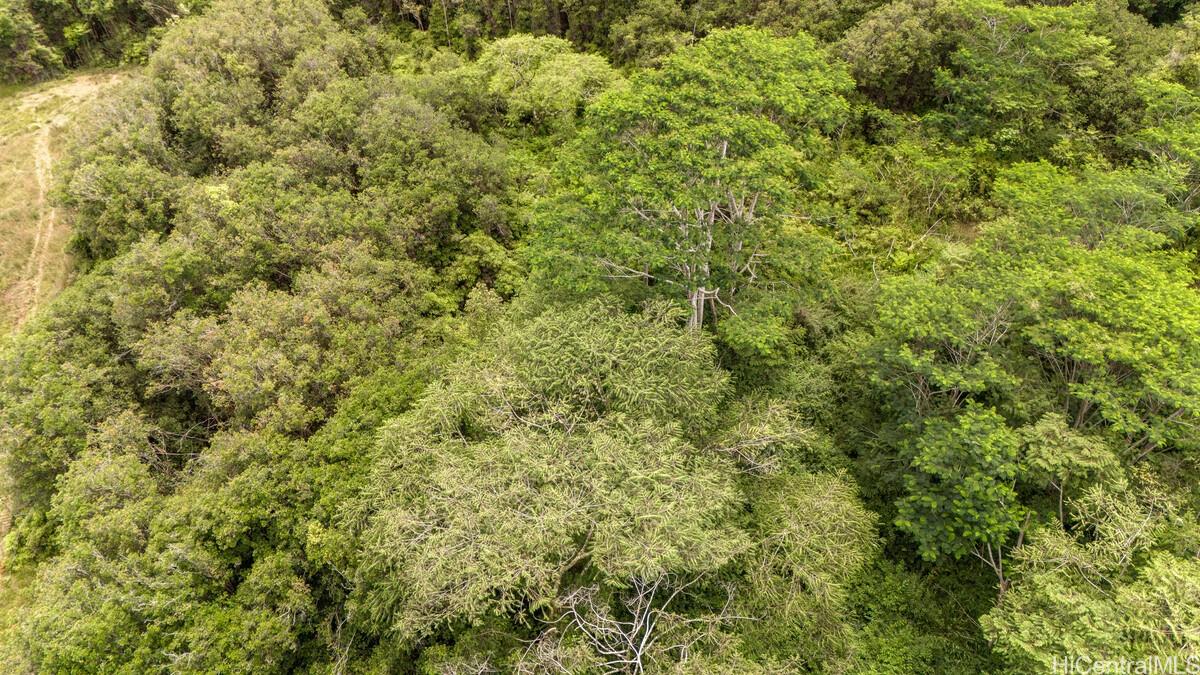 Lot 89 Huina Rd  Mountain View, Hi vacant land for sale - photo 6 of 17